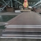Carbon Steel Plate Aisi 1010 Hot Rolled Steel Coil