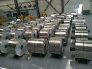 Astm 304 Stainless Steel Sheet Coil Ss Coil 202 430 410 316L Width 860mm  BA Finish